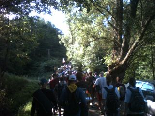 Leśnym traktem do Chmielna